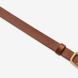 Status Anxiety NOBODYS FAULT Belt tan/gold - SM